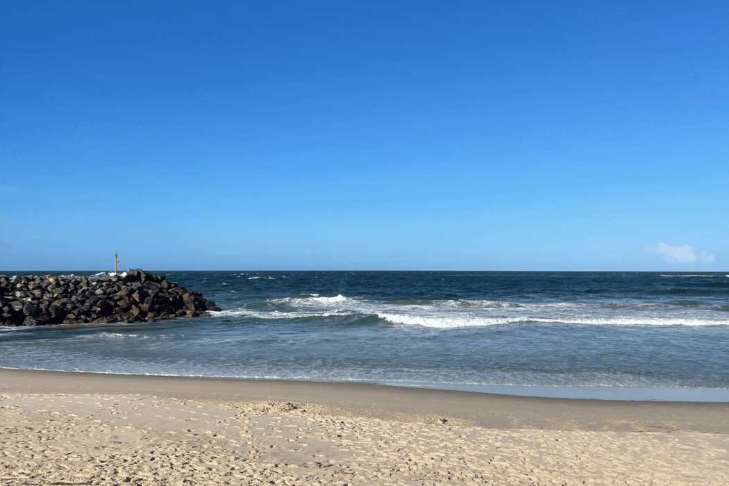 A Quick Guide to Port Macquarie Rentals for Investors and Tenants image